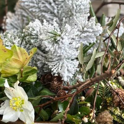 Nieuwsupdate  9 december - 2025