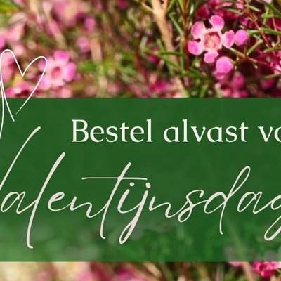 Nieuwsupdate 30 januari - 2026