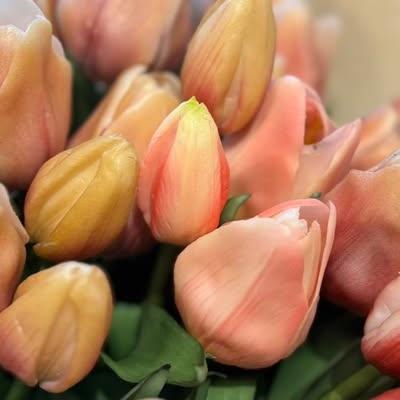 Nieuwsupdate 13 januari - 2026