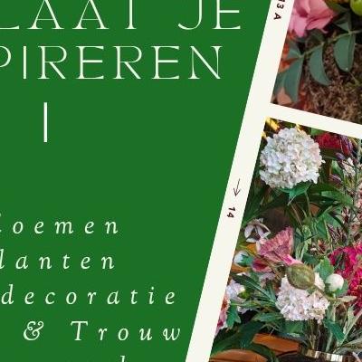 Nieuwsupdate 26 februari - 2026