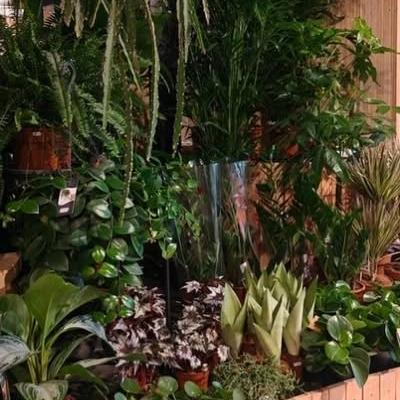 Nieuwsupdate 16 maart - 2026