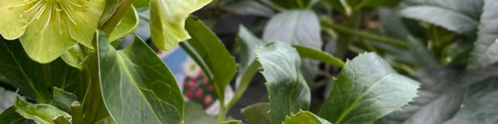 Nieuwsupdate 17 oktober - 2025