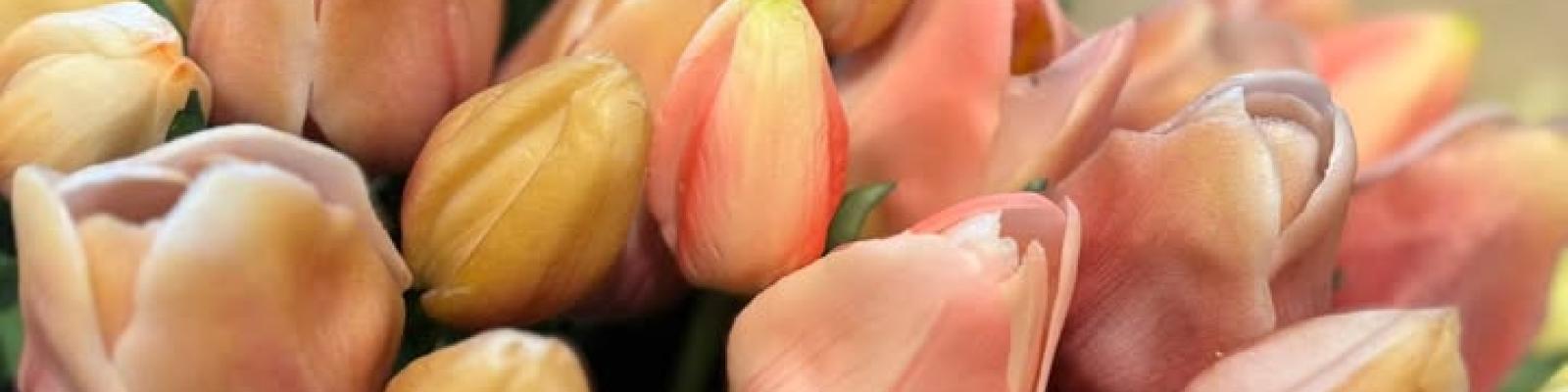 Nieuwsupdate 13 januari - 2026