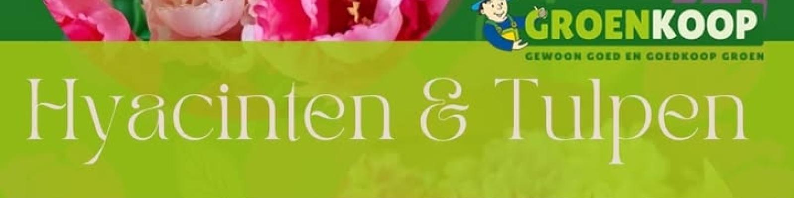 Nieuwsupdate 12 februari - 2026