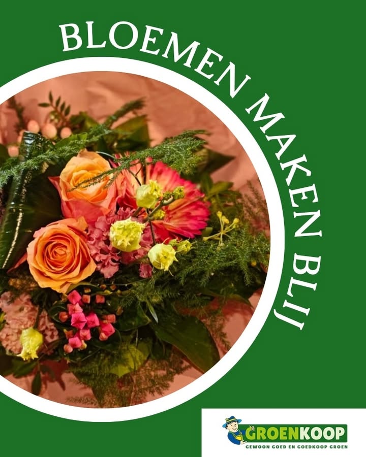 Nieuwsupdate  6 februari - 2026