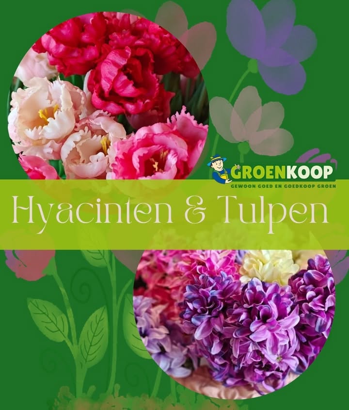 Nieuwsupdate 12 februari - 2026