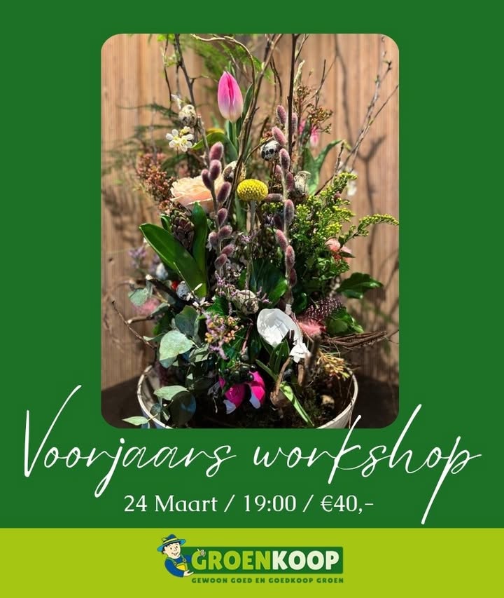 Nieuwsupdate  6 maart - 2026